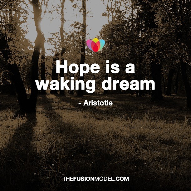Hope is a waking dream - Aristotle
