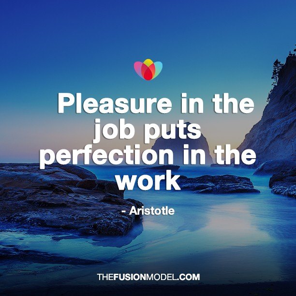 Pleasure in the job puts perfection in the work - Aristotle