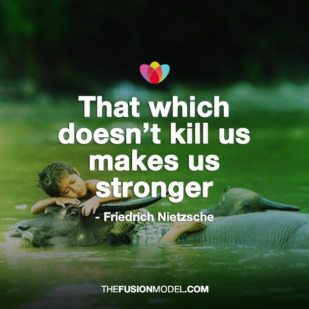 That which doesn't kill us makes us stronger - Friedrich Nietzsche