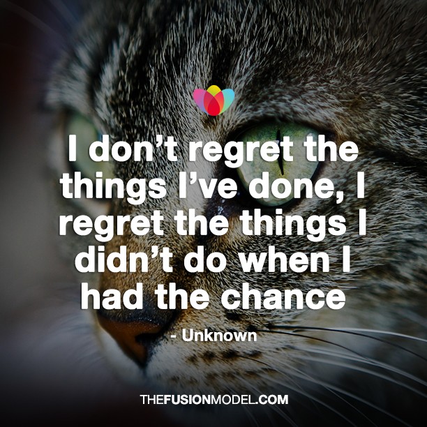 I don't regret the things I've done, I regret the things I didn't do when I had the chance - unknown