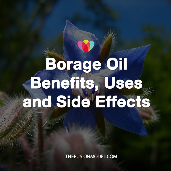 Borage Oil Benefits, Uses and Side Effects