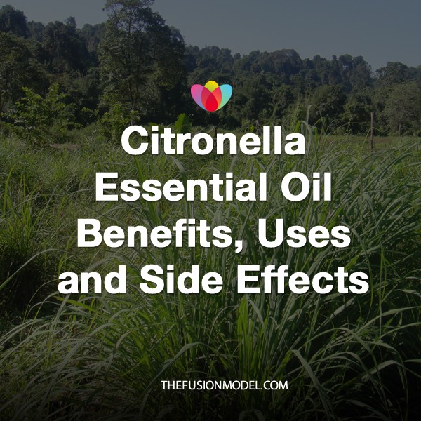 Citronella Essential Oil Benefits, Uses and Side Effects