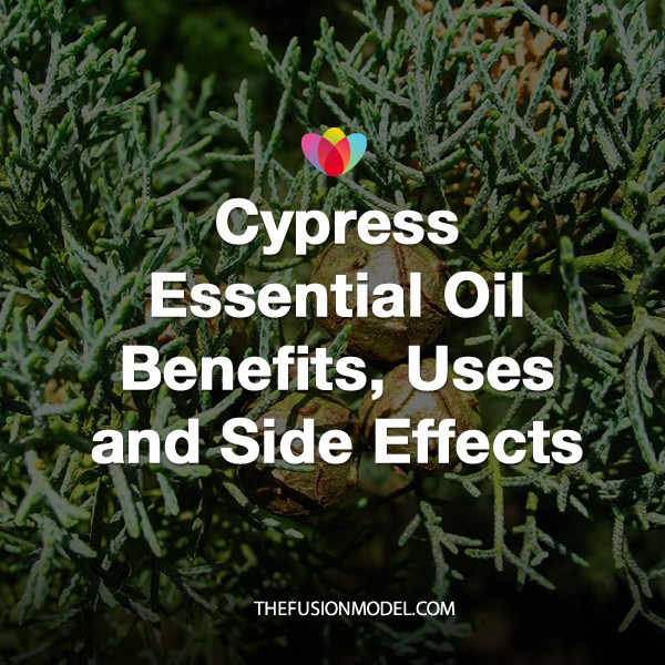 Cypress Essential Oil Benefits, Uses and Side Effects