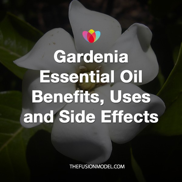 Gardenia Essential Oil Benefits, Uses and Side Effects
