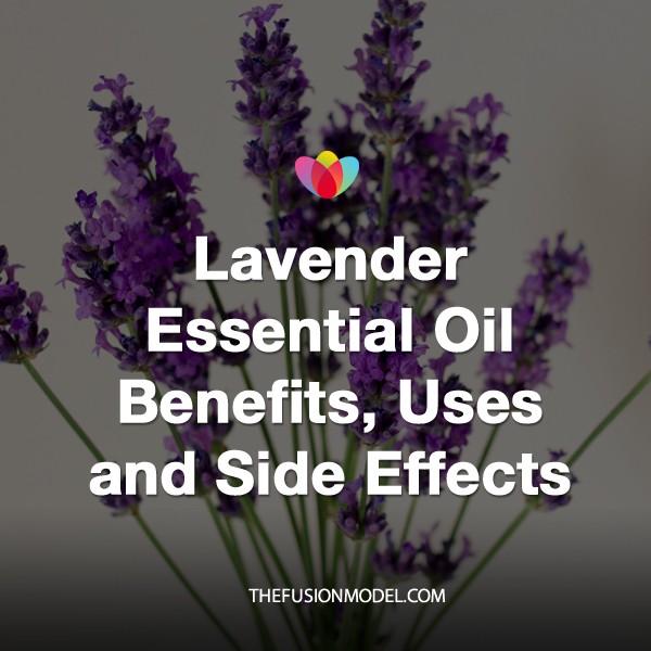 Lavender Essential Oil Benefits, Uses and Side Effects