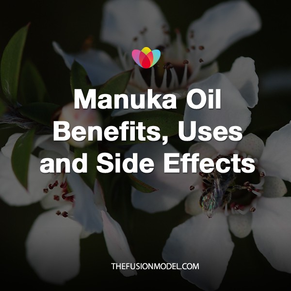 Manuka Oil Benefits, Uses and Side Effects