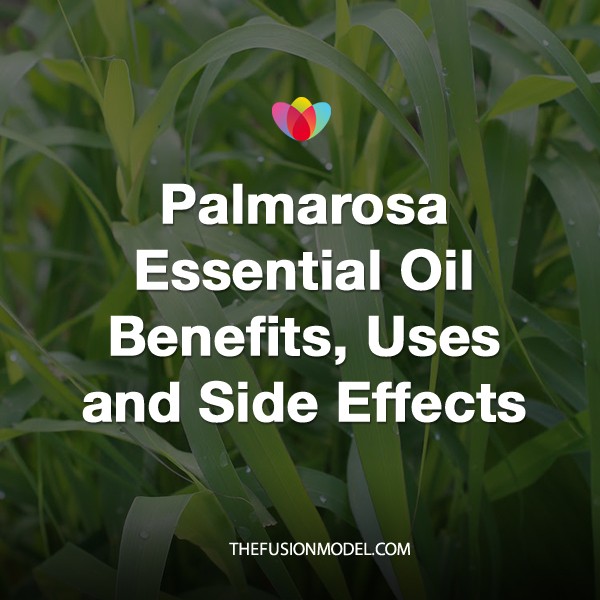 Palmarosa Essential Oil Benefits, Uses and Side Effects