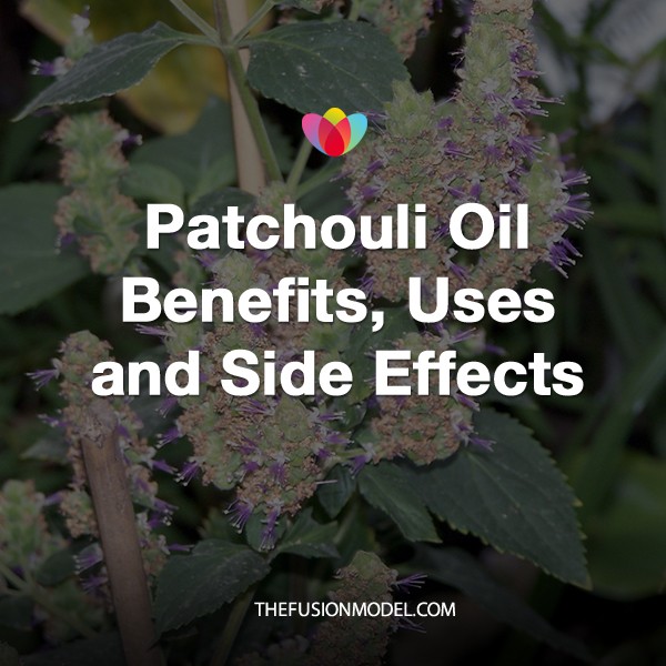 Patchouli Oil Benefits, Uses and Side Effects