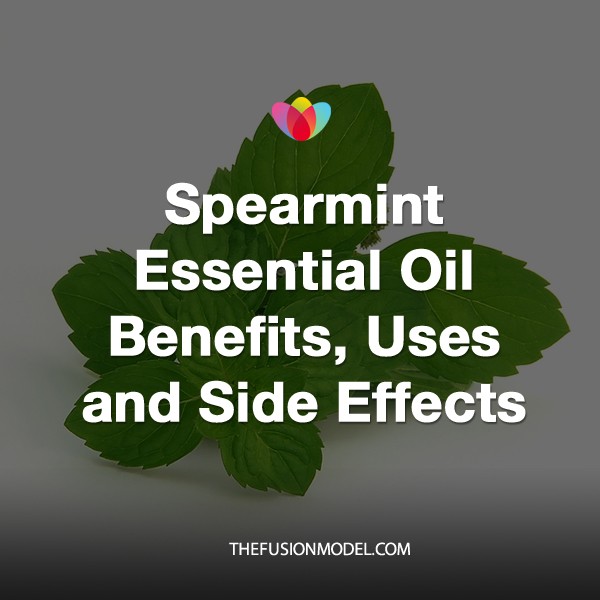 Spearmint Essential Oil Benefits, Uses and Side Effects