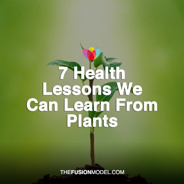 7 Health Lessons We Can Learn From Plants