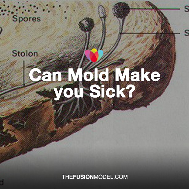 Can Mold Make you Sick?