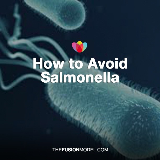 How to Avoid Salmonella