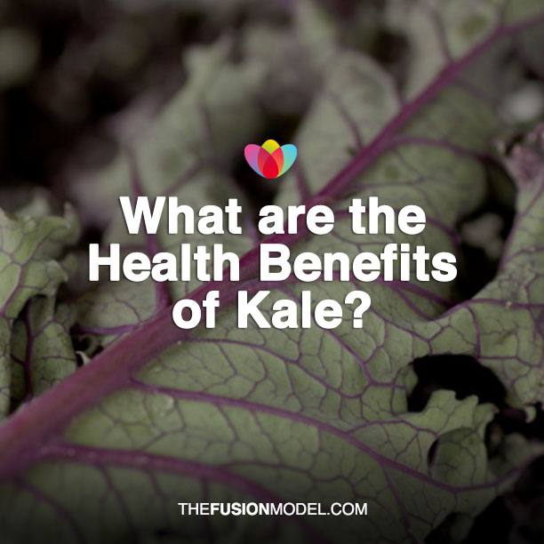 What are the Health Benefits of Kale