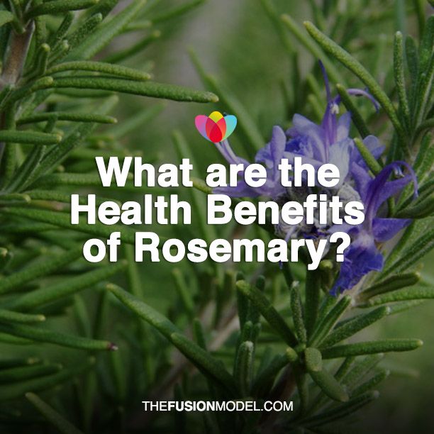 What are the Health Benefits of Rosemary?